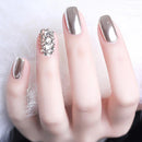 Holographic Gold/Silver Nail Powder Mirror