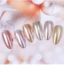 Holographic Gold Nail Powder 6 Colors Mirror