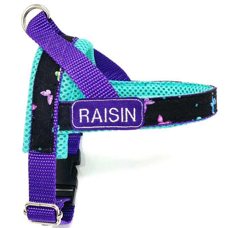 Personalized turquoise butterflies one-click harness